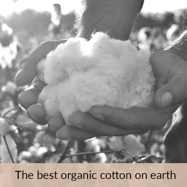 organic pima cotton