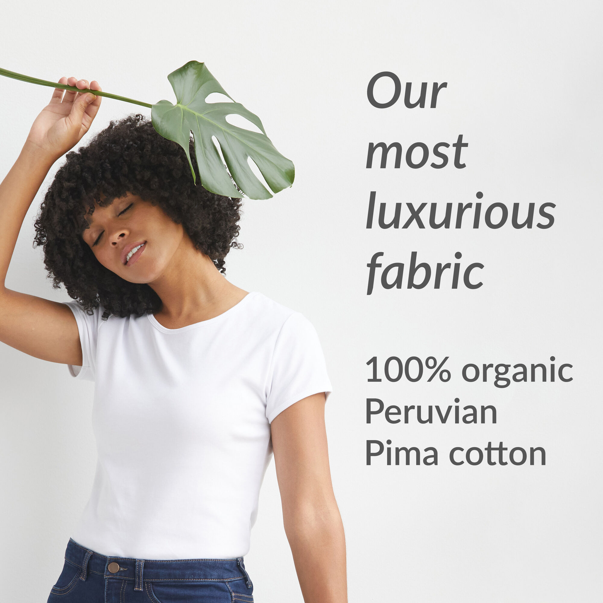 organic pima cotton interlock fabric